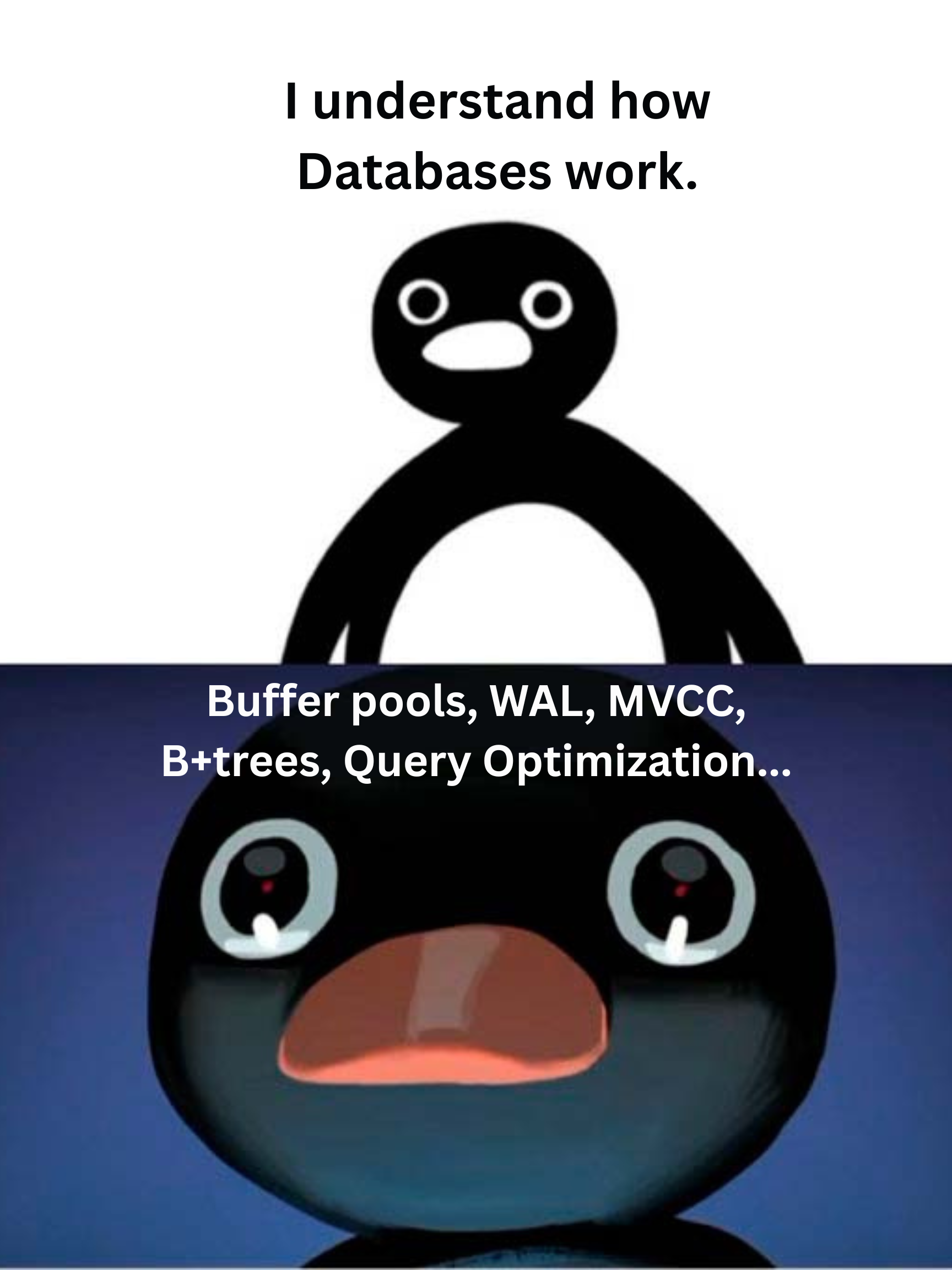 Noot Noot Database Meme